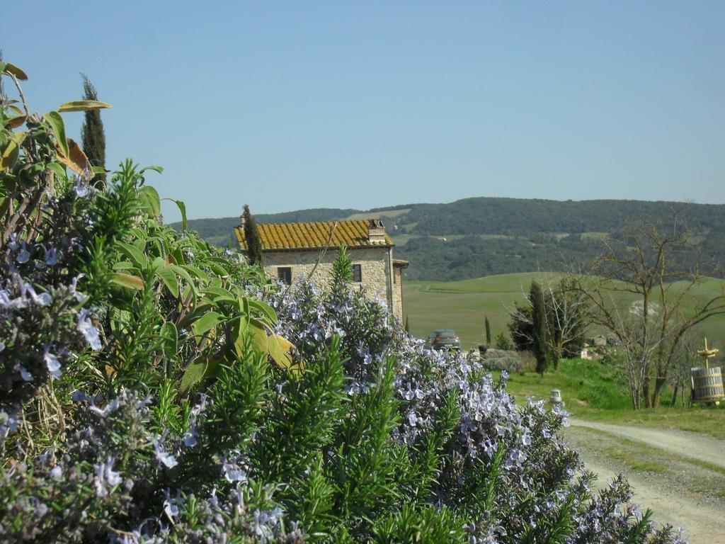 Agriturismo Podere Campaini Volterra Exterior foto