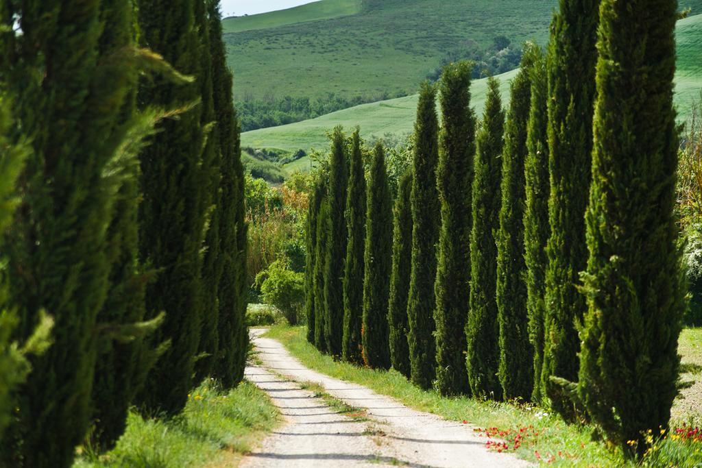 Agriturismo Podere Campaini Volterra Exterior foto